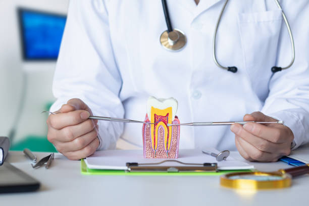 Best Tooth Pain Emergency Relief  in Harmony, PA